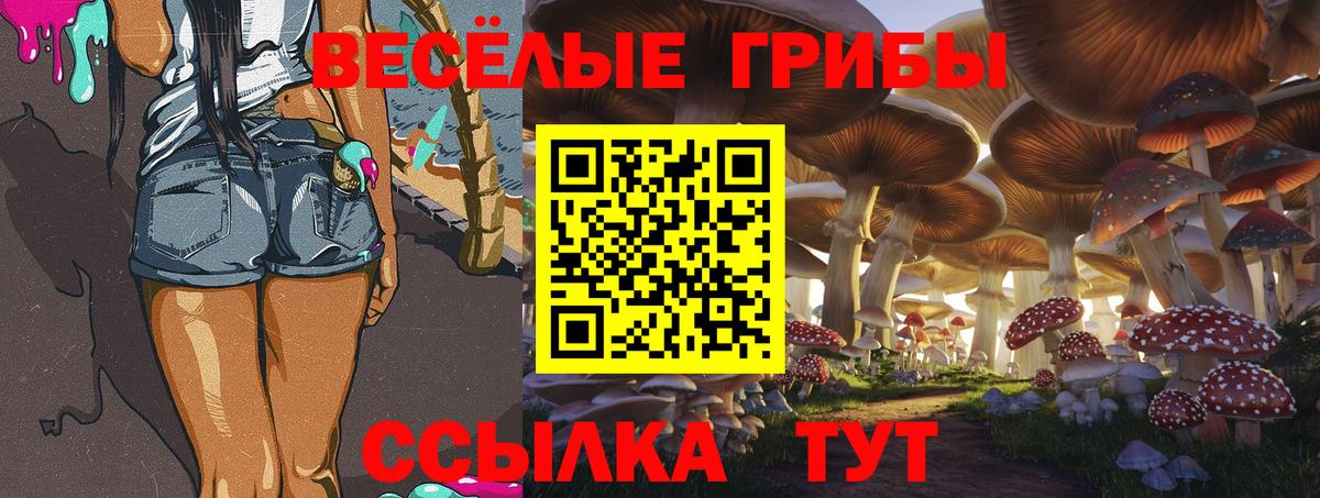 Благовещенск  Галлюциногенные грибы GOLDEN TEACHER  Псилоцибиновые грибы Magic Shrooms  Вход с VPN 