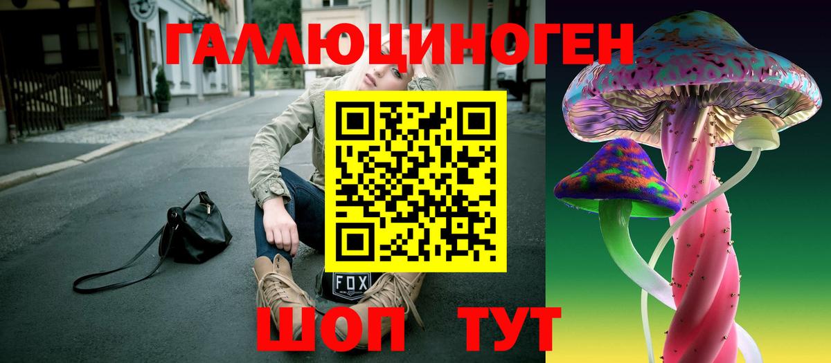 Псилоцибиновые грибы Psilocybine cubensis Благовещенск